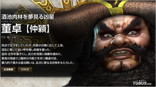 真三国无双6
