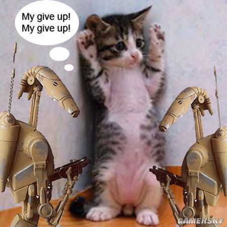 可爱猫咪玩COS 神奇演绎星球大战激光剑完整