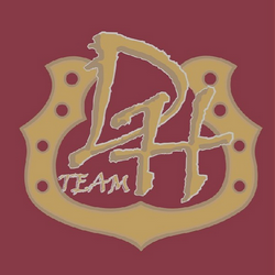 DtHf新队服正式公布 金色LOGO寓意冠军