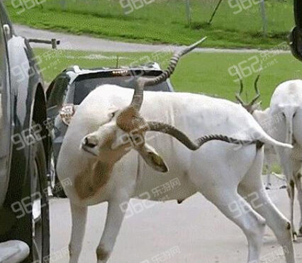 每日轻松一刻 罗永浩舌战王自如纯属闹剧 第 1