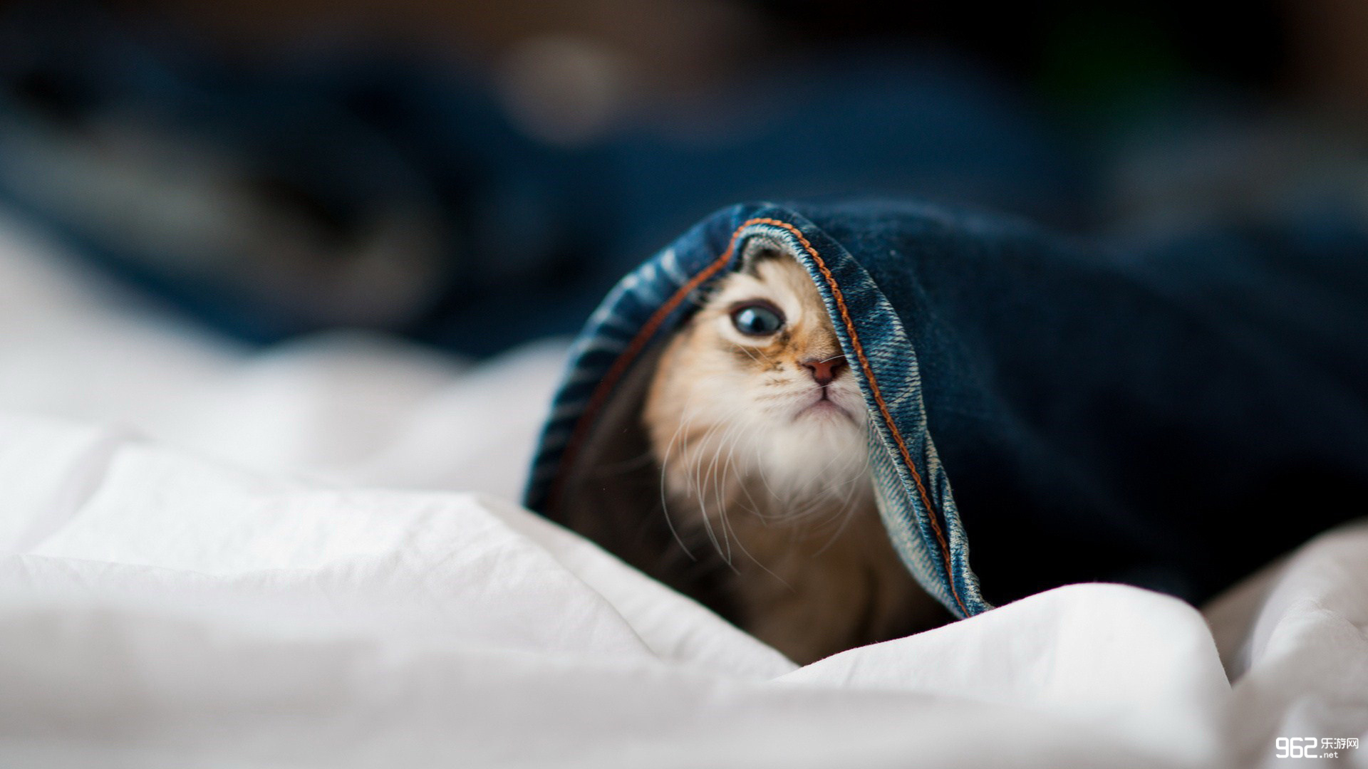 乐游网精选CG壁纸大合集(44)双旦期间炫酷壁