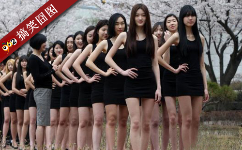 韩国长腿美女大学生樱花下齐走秀 点进去我就呵呵 搞笑囧图大荟萃(35)