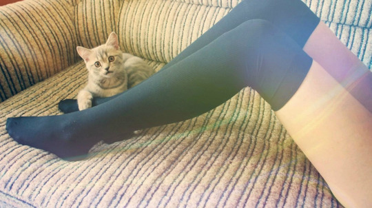 周末福利来一发 性感美腿福利写真赏 腿控足控丝袜控速来舔屏 第 1 页_乐游网