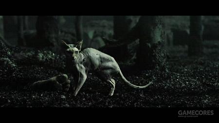 玩了疯狂麦克斯 也许你会着迷这些末世电影《